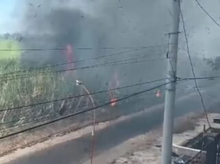 Kepala BPBD Jombang, Wiku Birawa Felipe Diaz Quintas sebut angka hingga akhir September 2026, terjadi 157 kali kebakaran lahan di Jombang, memangsa 148 ha. Foto: instagram@jombangonformasi_