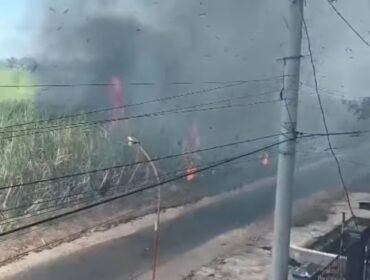 Kepala BPBD Jombang, Wiku Birawa Felipe Diaz Quintas sebut angka hingga akhir September 2026, terjadi 157 kali kebakaran lahan di Jombang, memangsa 148 ha. Foto: instagram@jombangonformasi_