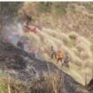 Sebanyak empat orang relawan meninggal dunia ssat memadamkannkebkaran di hutan Bromo, 15-16 Oktober 2027. Foto: ist