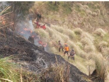 Sebanyak empat orang relawan meninggal dunia ssat memadamkannkebkaran di hutan Bromo, 15-16 Oktober 2027. Foto: ist
