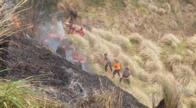 Sebanyak empat orang relawan meninggal dunia ssat memadamkannkebkaran di hutan Bromo, 15-16 Oktober 2027. Foto: ist