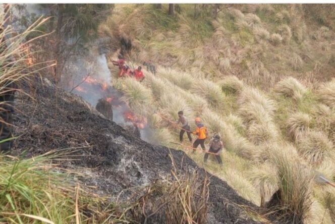 
					Sebanyak empat orang relawan meninggal dunia ssat memadamkannkebkaran di hutan Bromo, 15-16 Oktober 2027. Foto: ist