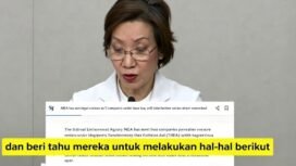Grace Fu, menteri Lingkungan Singapura mengidentifikasi ada tujuh perusahaan konsesi hutan di Indonesia sebagai penyebab kebakaran hutan. Foto: ist