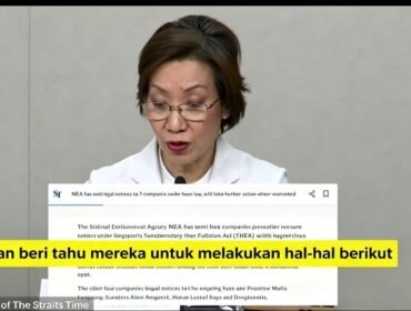 Grace Fu, menteri Lingkungan Singapura mengidentifikasi ada tujuh perusahaan konsesi hutan di Indonesia sebagai penyebab kebakaran hutan. Foto: ist