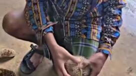 Untuk memperingati Hari Santri, pemkab Jombang imbau warga khususnya ASN di lingkungan instansi pemerintah berbusana Muslim dan sarung. Foto: instagram@jodi_jombang